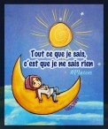 Tout ce que je sais c'est que je ne sais rien Platon