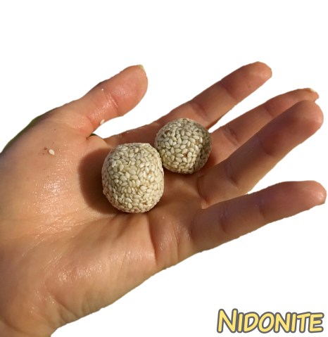 bizoux tout chauds.jpg